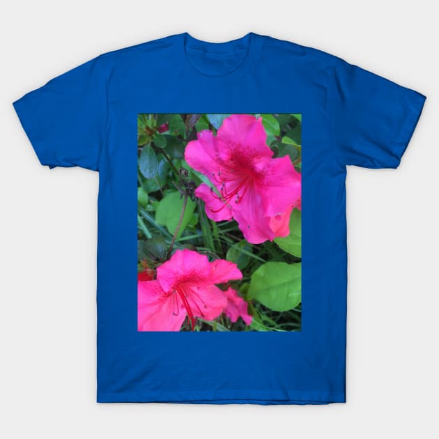 Azaleas T-Shirt by Amanda1775